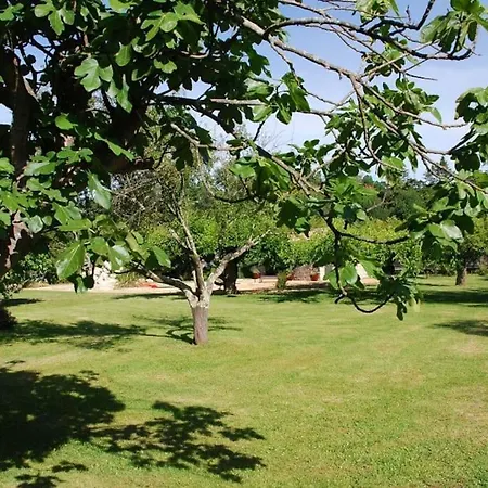De Charme 80 M², Piscine, Proche D'uzes. Prázdninový dům *
