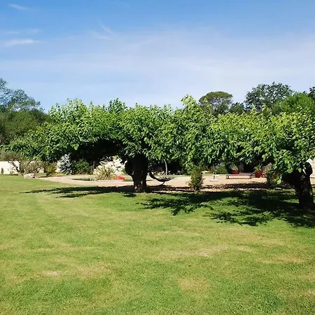 De Charme 80 M², Piscine, Proche D'uzes.