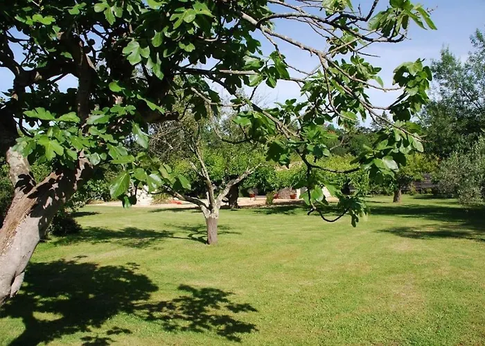 De Charme 80 M², Piscine, Proche D'uzes. 펜션 *